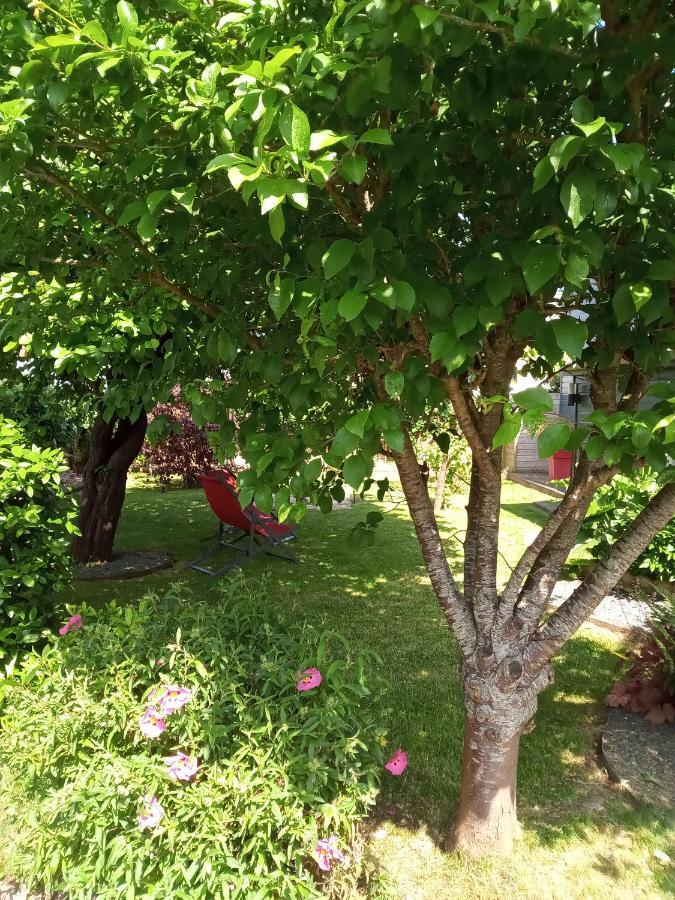 L'Attrape Coeurs Hotel Mantilly Bagian luar foto